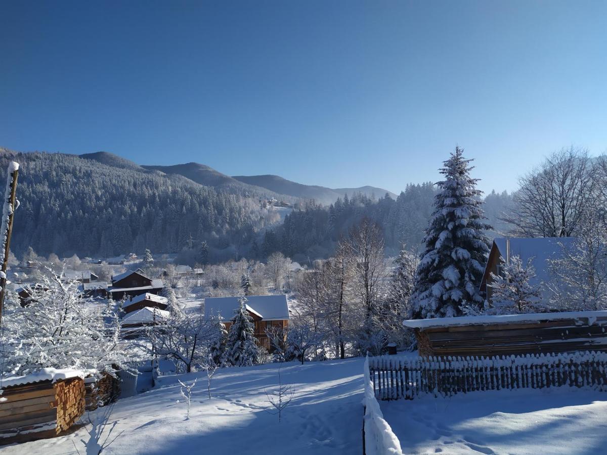 Бриндуш Villa Tatariv Buitenkant foto