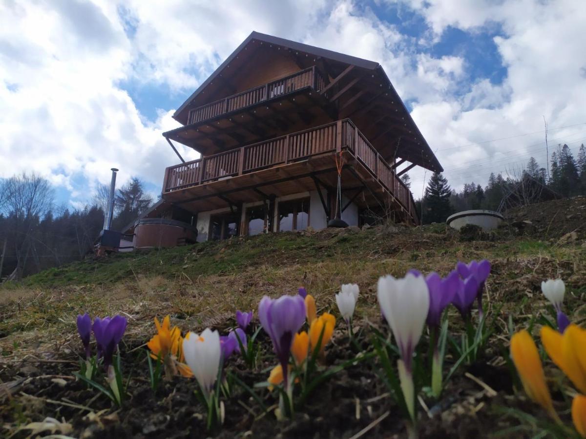 Бриндуш Villa Tatariv Buitenkant foto